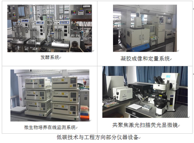 低碳技术与工程 技术服务与技术转让的双轮驱动